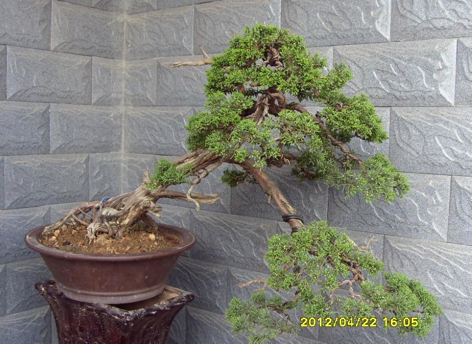 Ƭ 019.jpg