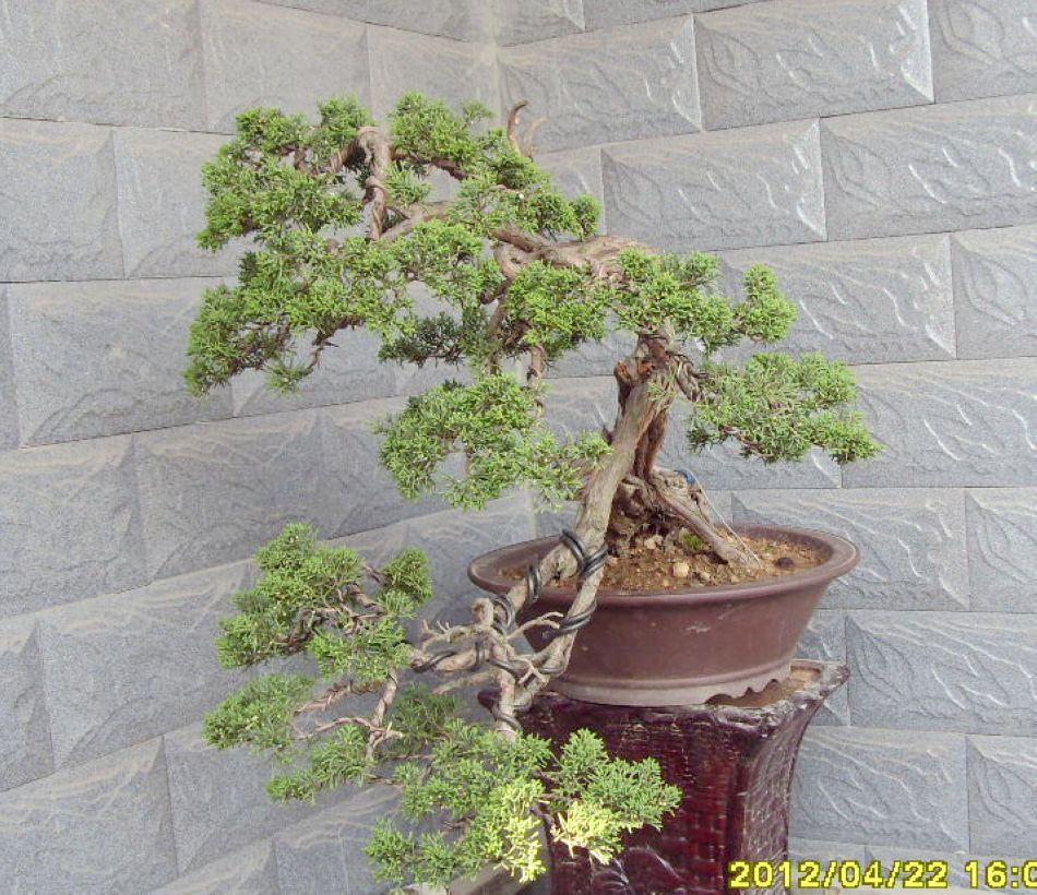 Ƭ 021.jpg