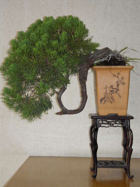 Ƭ 084.jpg