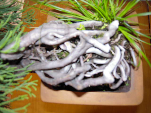 Ƭ 088.jpg