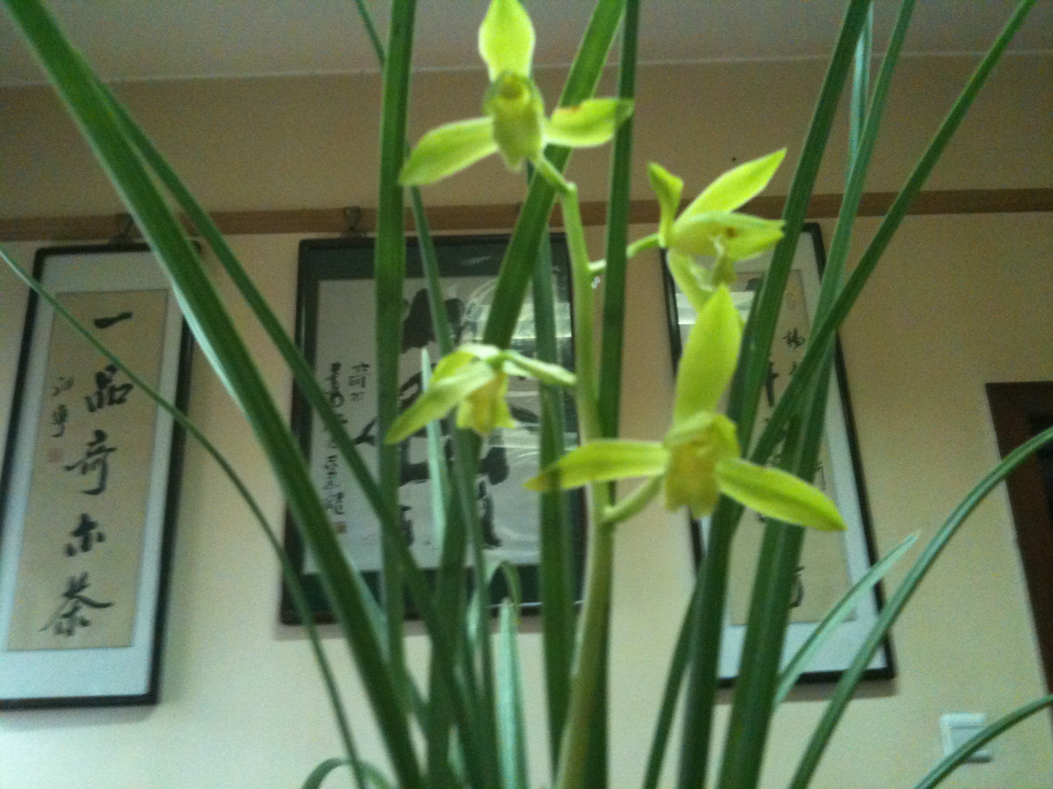 Ƭ 011.jpg