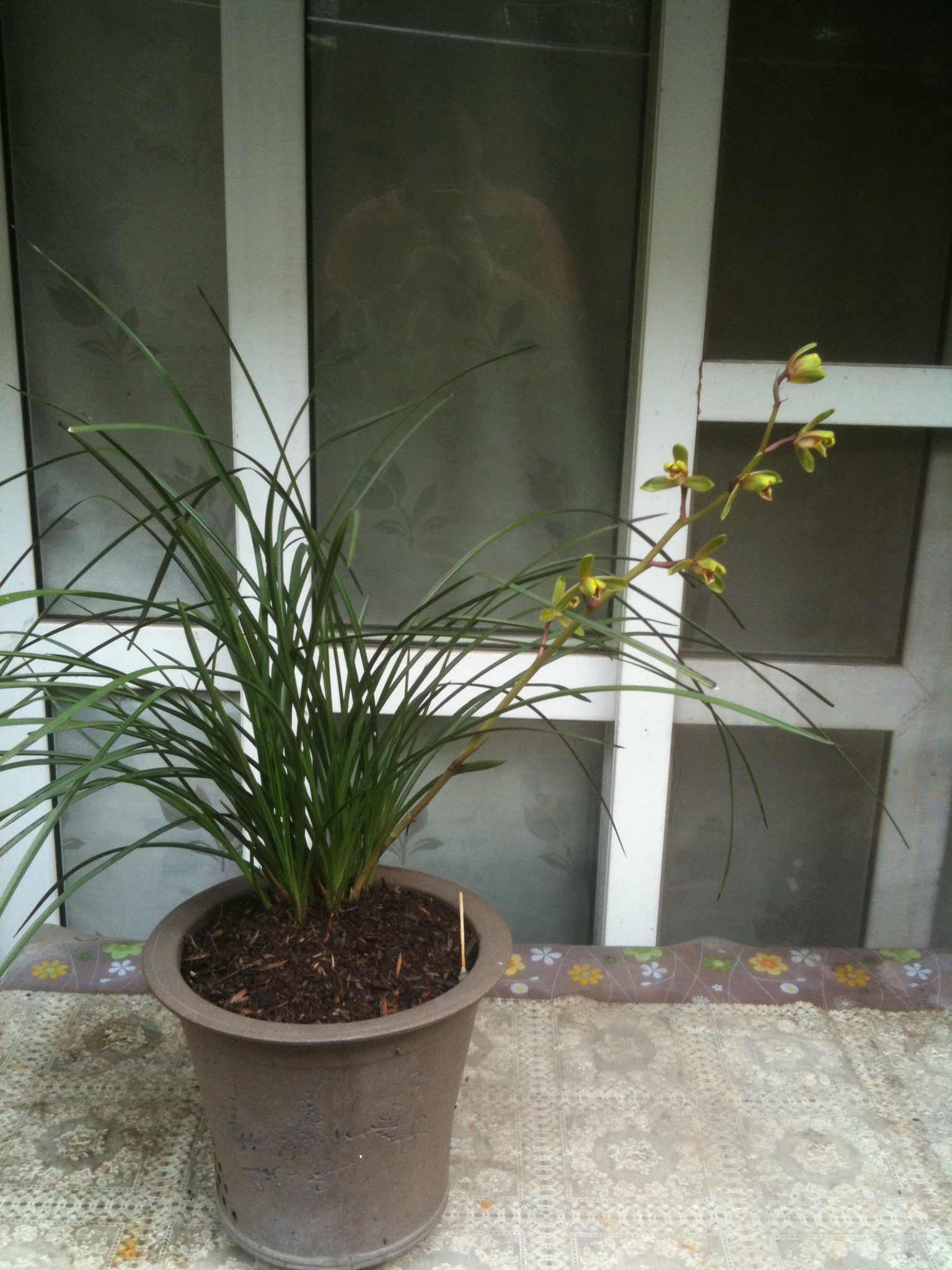 Ƭ 018.jpg