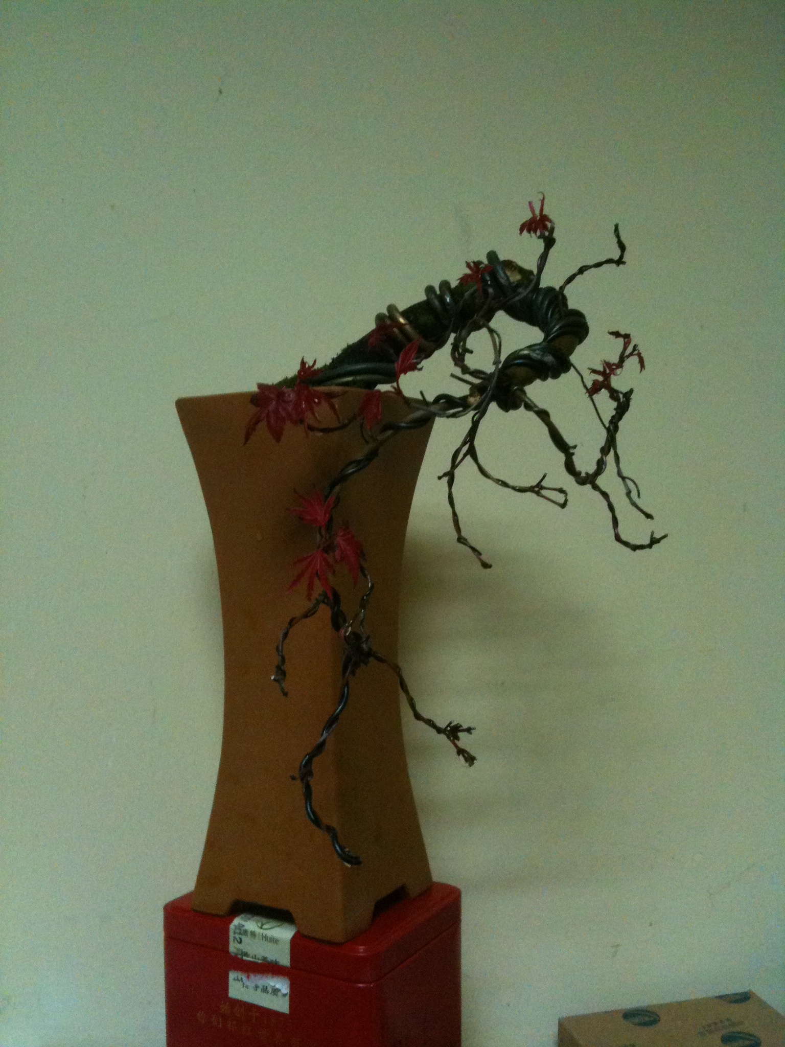 Ƭ 025.jpg