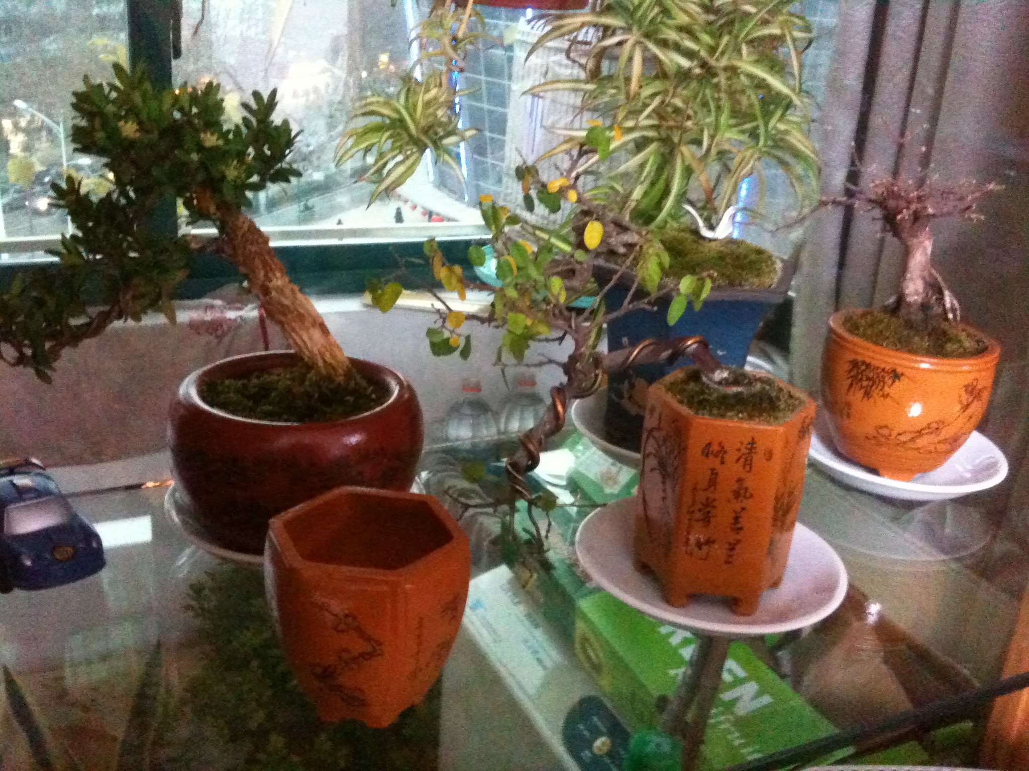 Ƭ 026.jpg