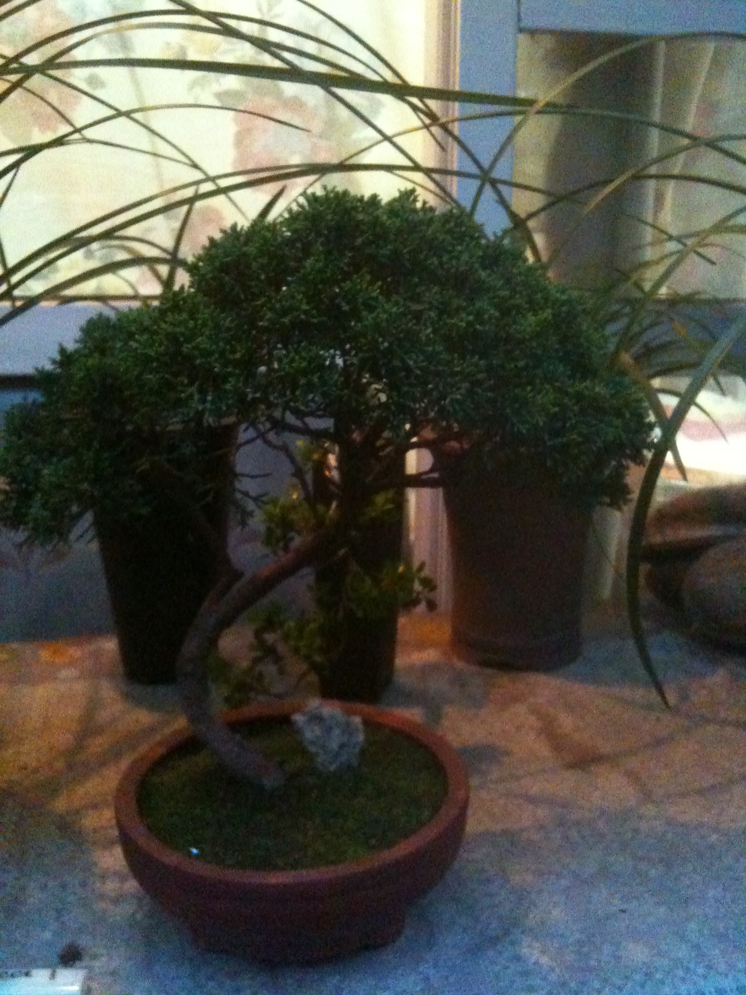 Ƭ 029.jpg