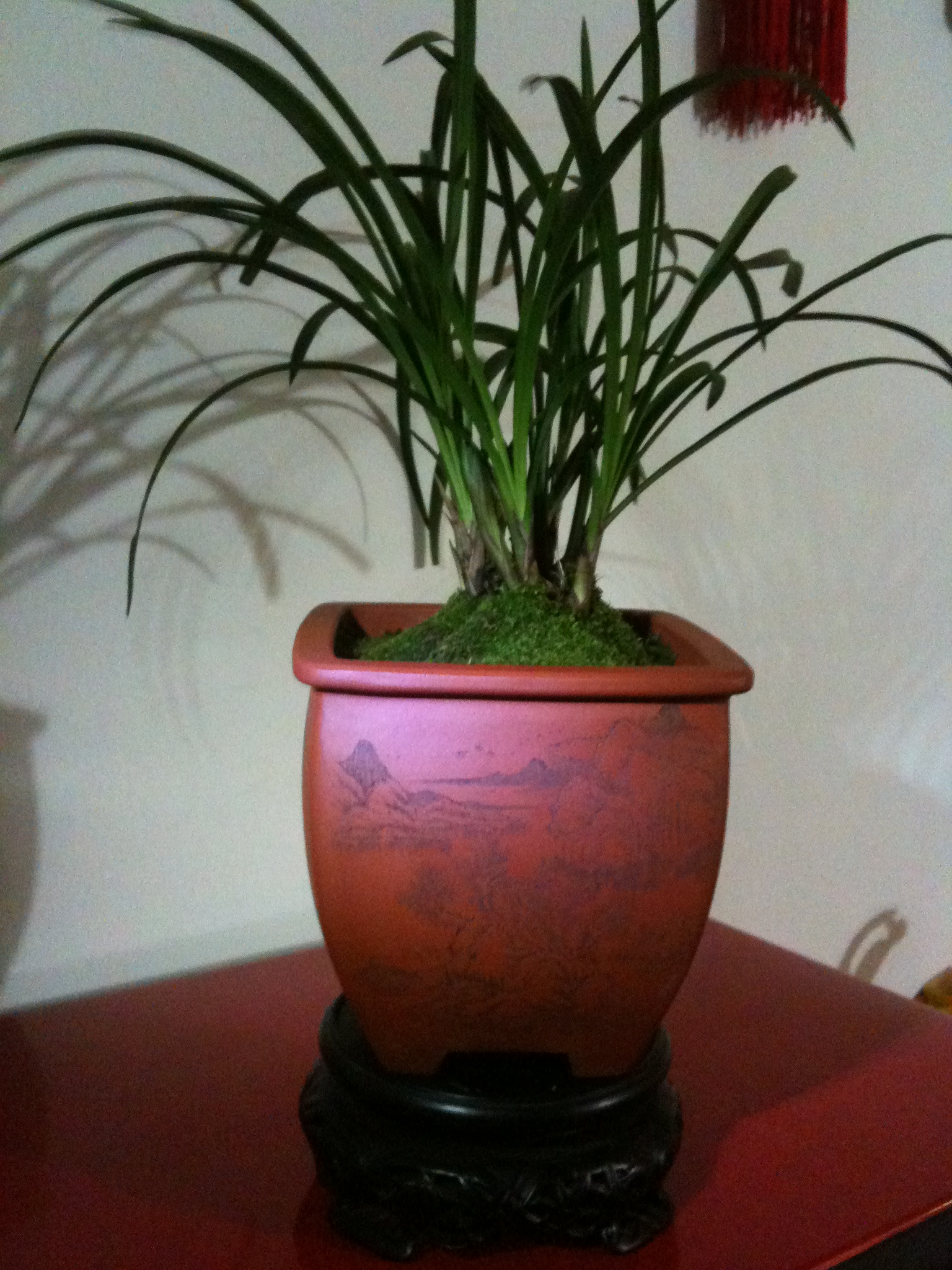 Ƭ 031.jpg