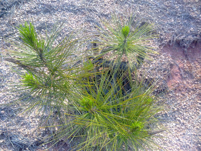 20120422876.jpg