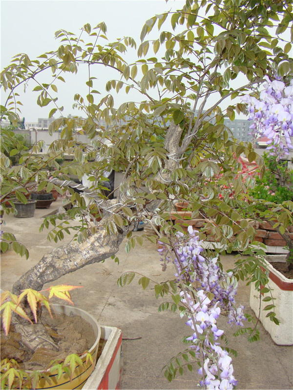 dsc07630_.jpg