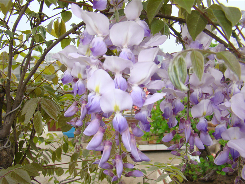 dsc07629_.jpg