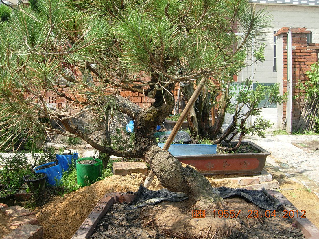 DSCN5729.JPG