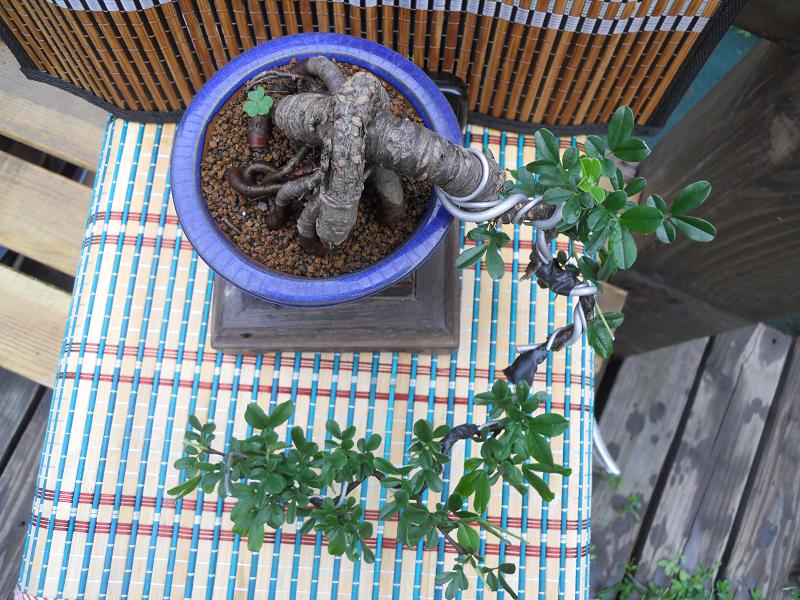 2012-3-5辰 348.jpg