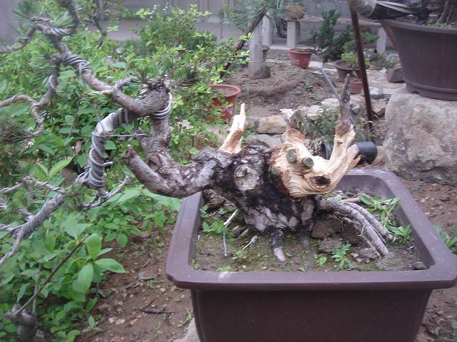 DSC05823.JPG