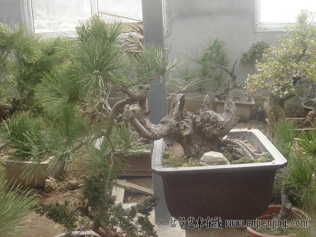 152938ubp9pvpcvwldbfqf[1].jpg