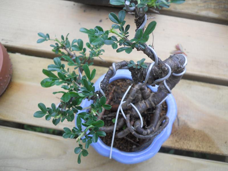 2012-3-5辰 372.jpg