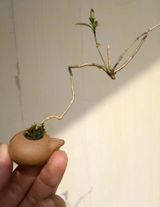 20120425846.jpg