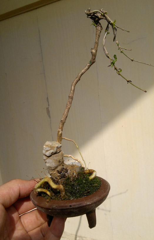 20120425847.jpg