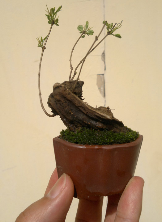20120425848.jpg