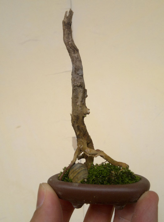 20120425850.jpg