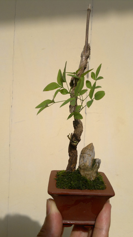 20120425853.jpg