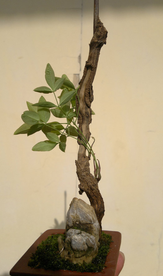 20120425854.jpg