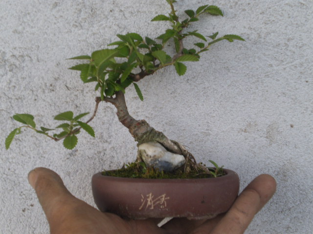 P3290162.JPG