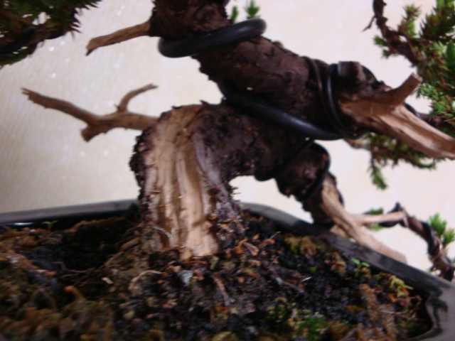 DSC08721.JPG