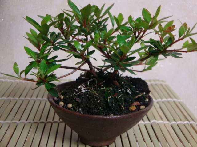 DSC08723.JPG