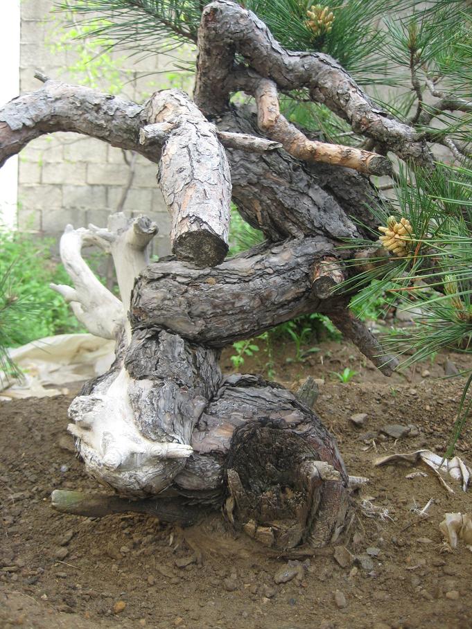 Ƭ 023.jpg
