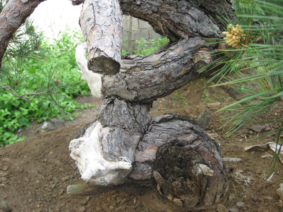 Ƭ 026.jpg