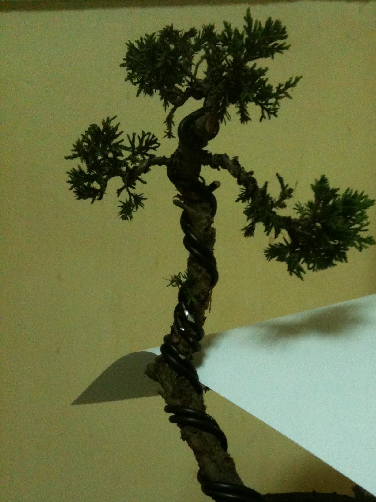 Ƭ 001.jpg