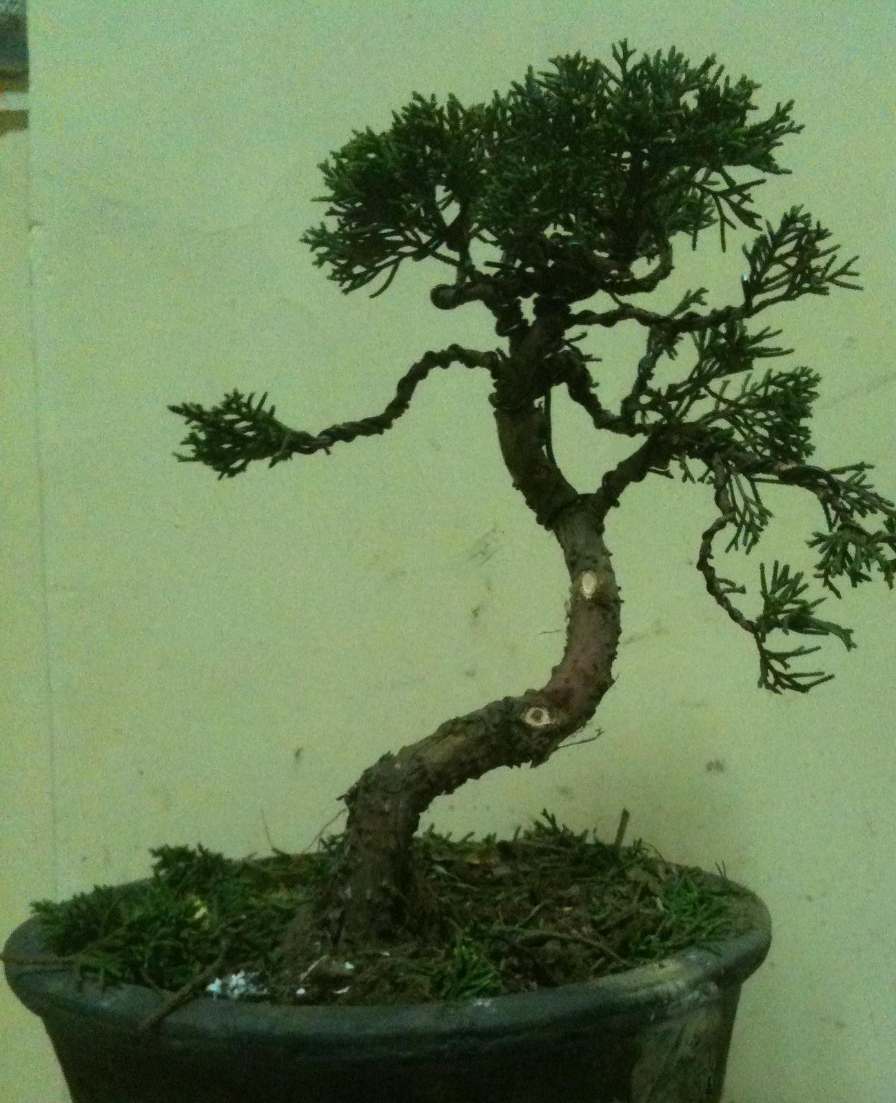 Ƭ 008.jpg
