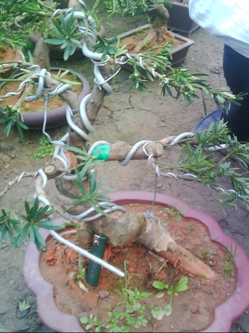 ͨȸ޺2.jpg
