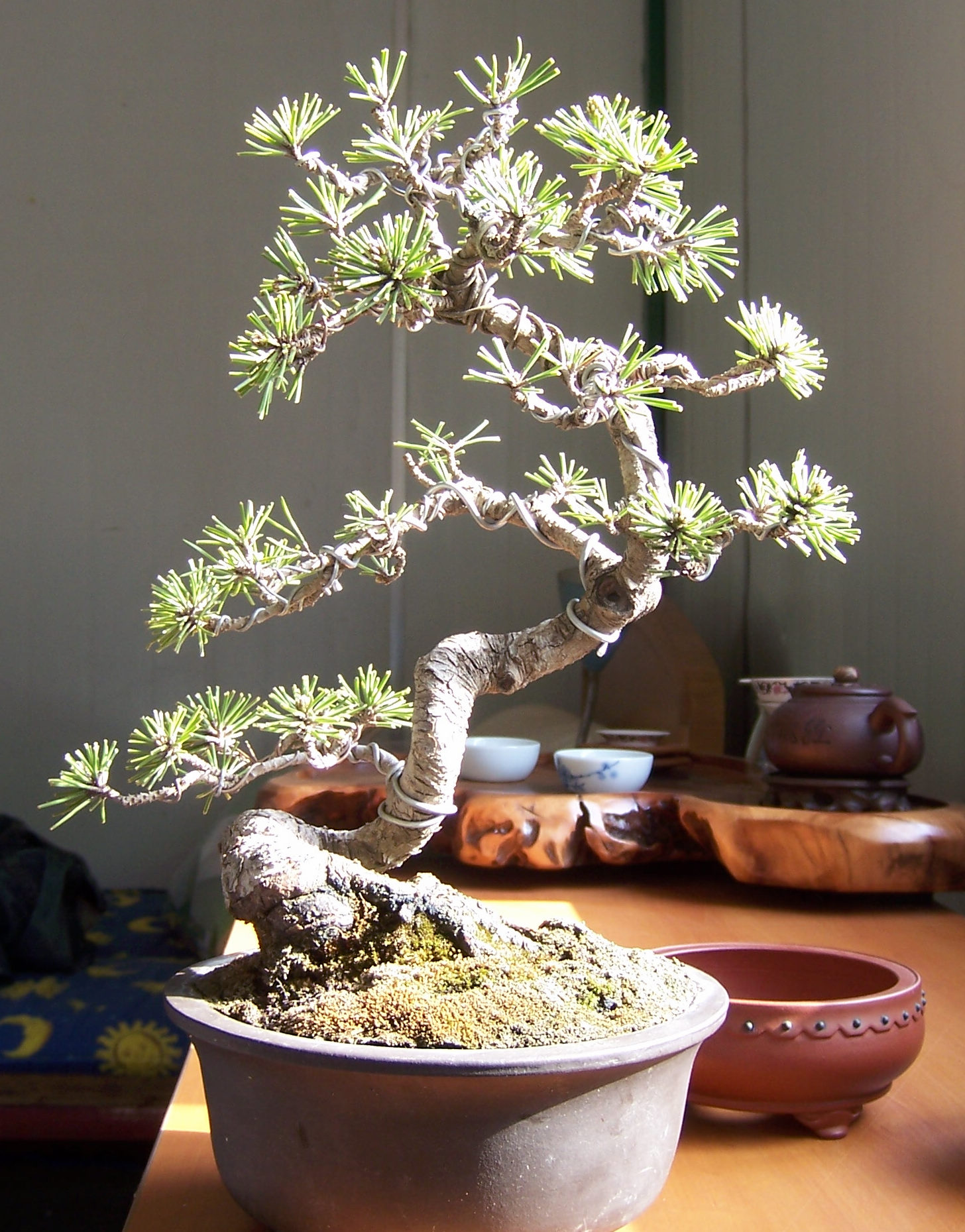 100_1905.JPG
