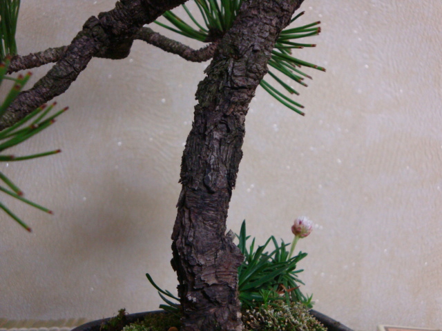 DSC08726.JPG