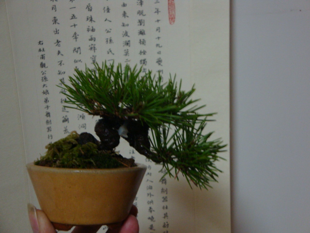 DSC08740.JPG