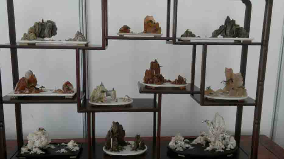 20120427872.jpg