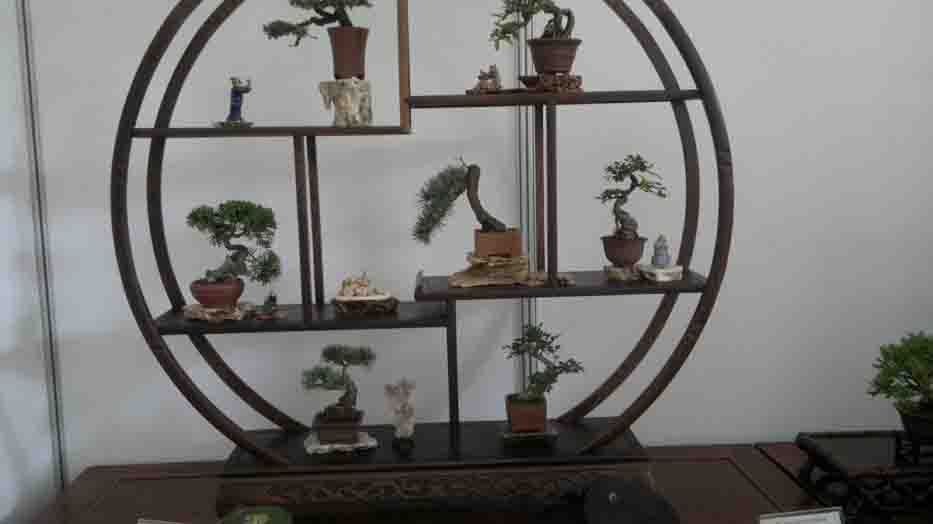 20120427875.jpg