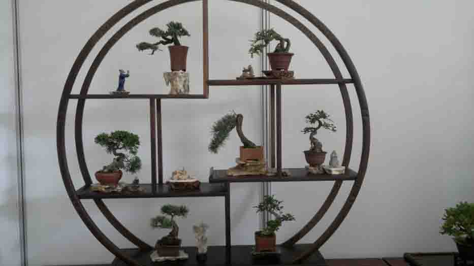 20120427876.jpg
