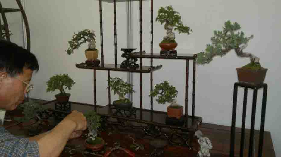 20120427877.jpg