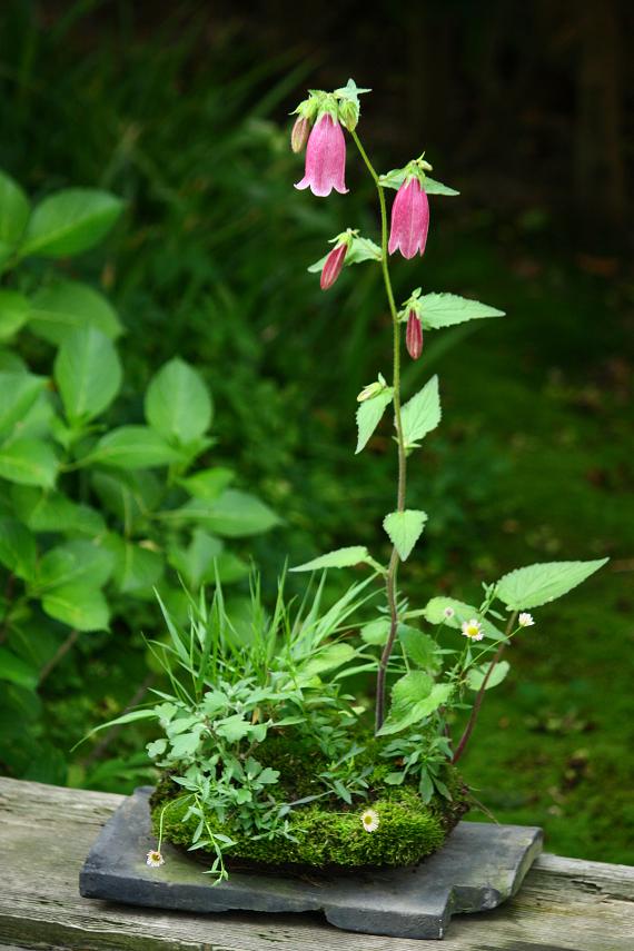 k1005875233.jpg