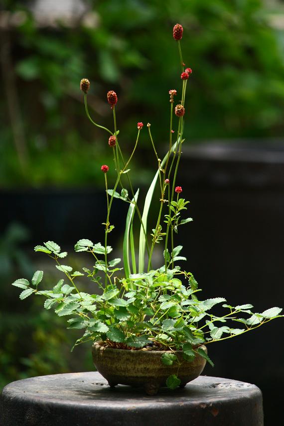k1559656372.jpg