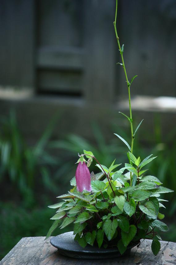 k1646299985.jpg