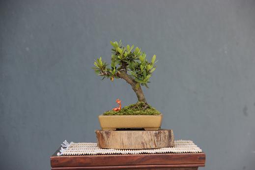 Ƭ 008.jpg