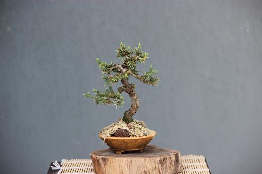 Ƭ 010.jpg