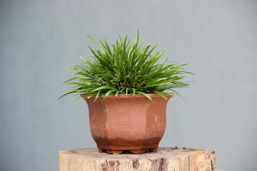 Ƭ 019.jpg