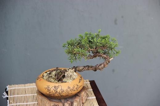 Ƭ 022.jpg