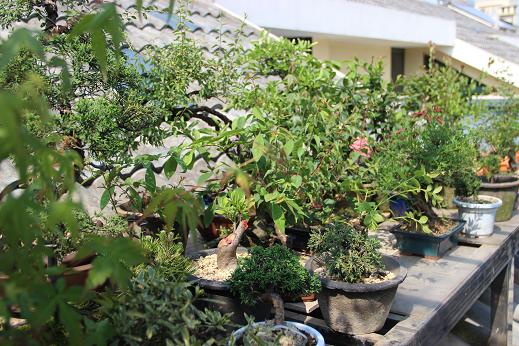 Ƭ 027.jpg