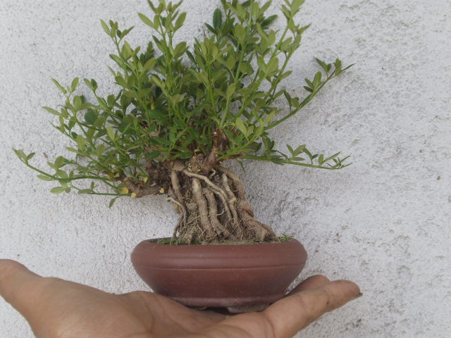 P4010167.JPG