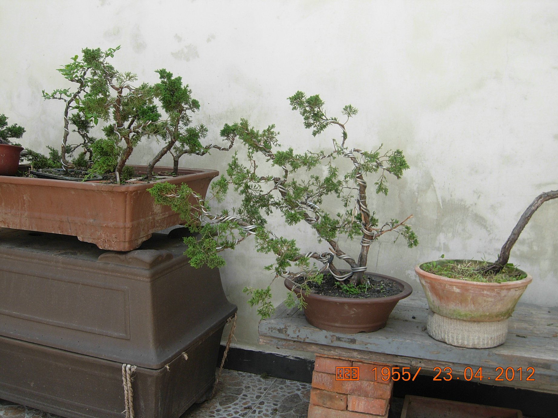 DSCN5724.JPG