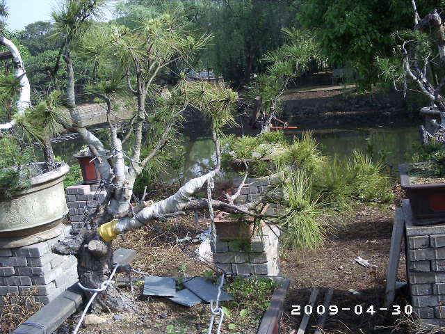 PHOT0065.JPG